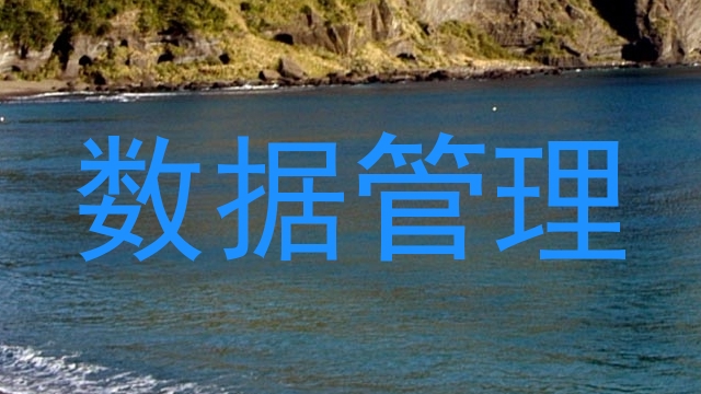 数据管理