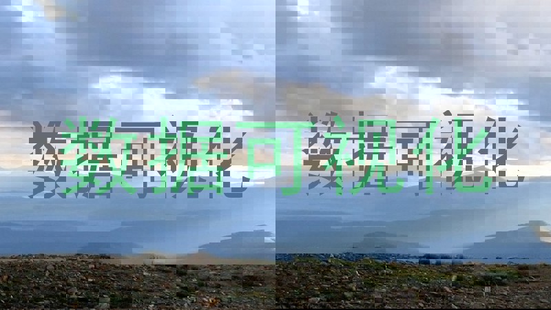 数据可视化