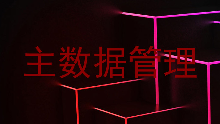 主数据管理