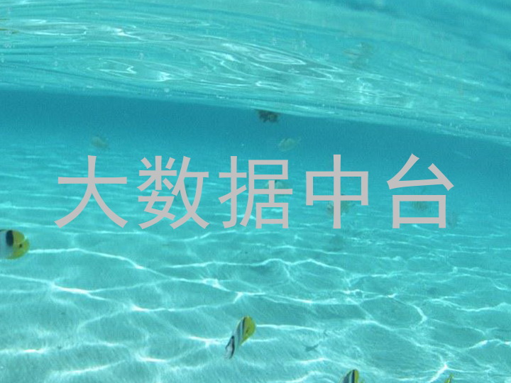 大数据中台