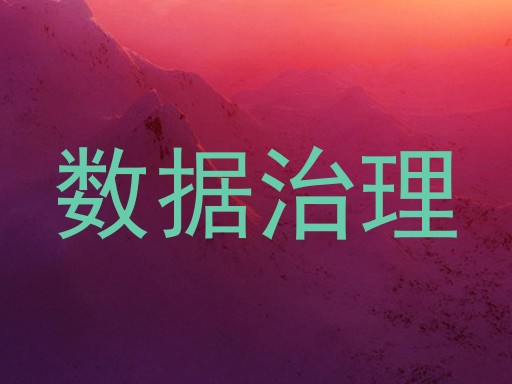 数据治理