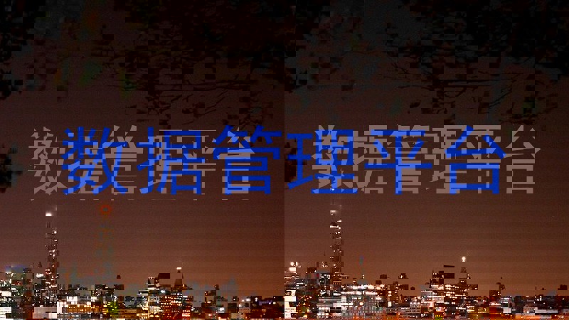 数据管理平台