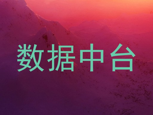 数据中台