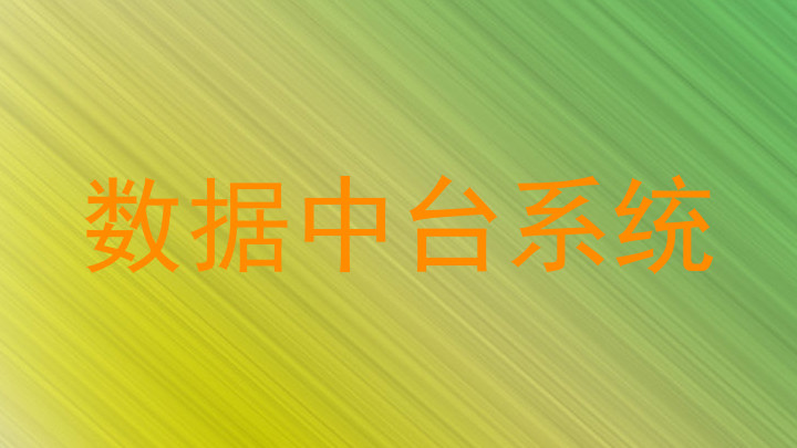数据中台系统