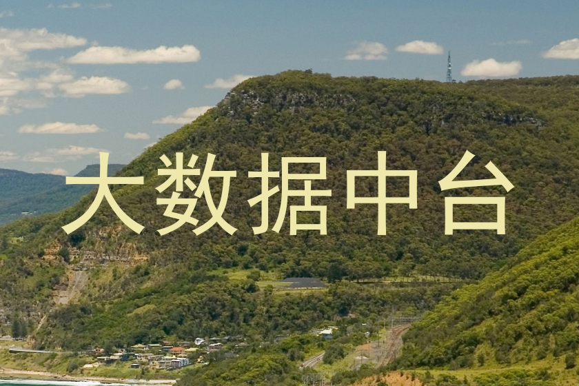 大数据中台