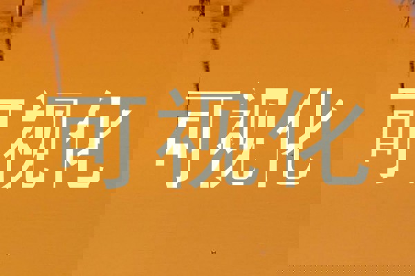 可视化