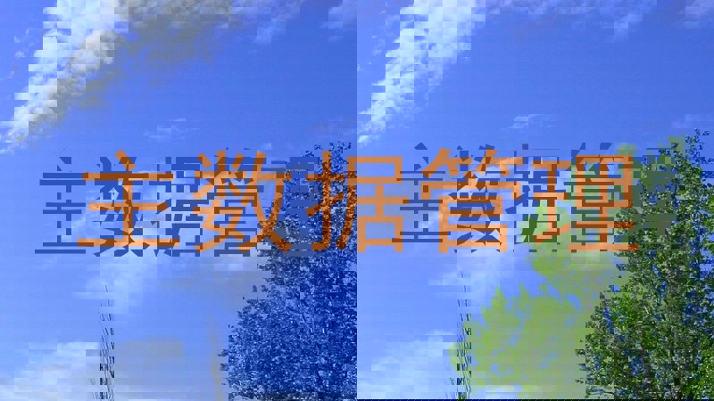 主数据管理