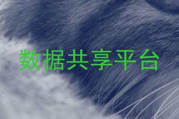 数据共享平台