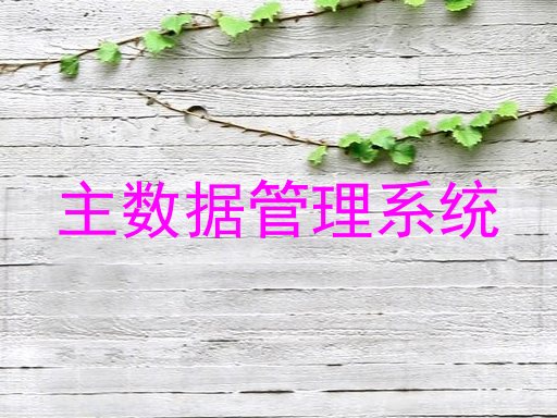 主数据管理系统