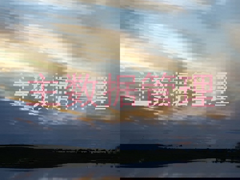 主数据管理