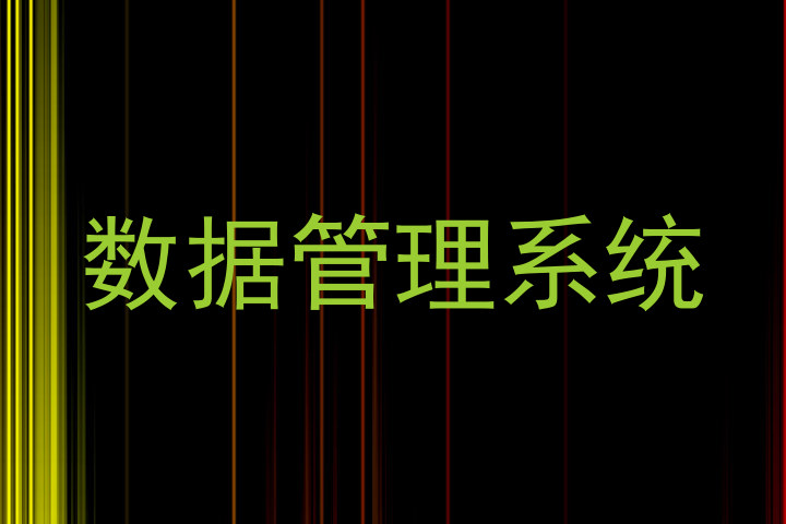 数据管理系统
