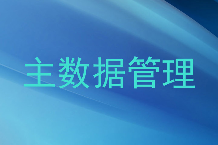 主数据管理