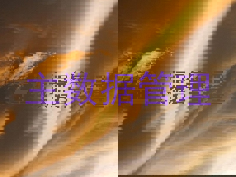 主数据管理