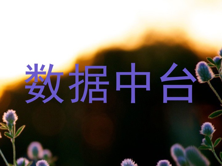 数据中台