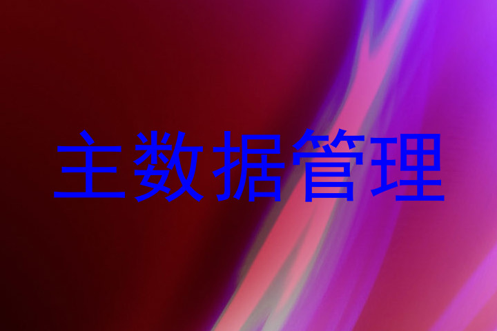 主数据管理