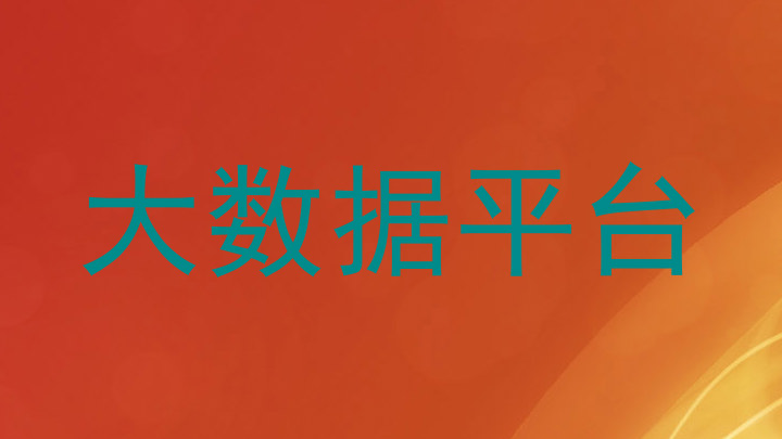 大数据平台