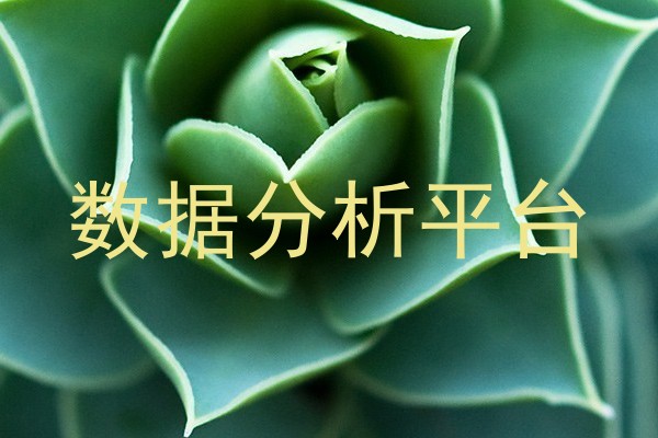 数据分析平台