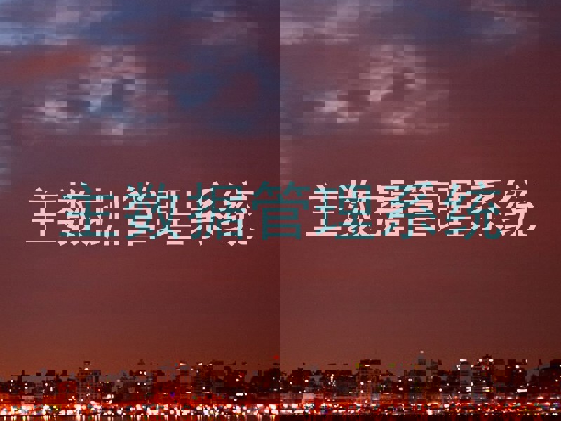 主数据管理系统