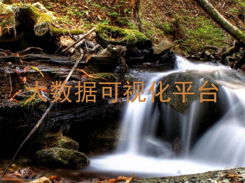 大数据可视化平台