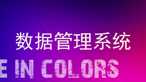 数据管理系统