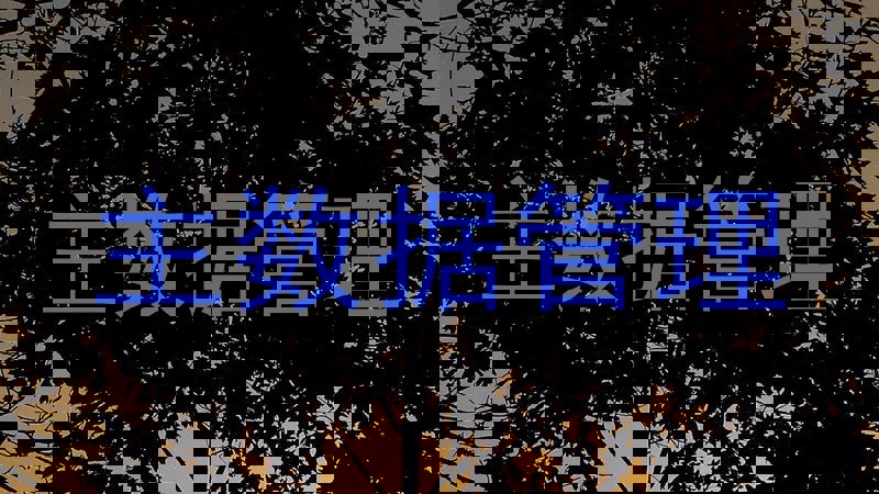 主数据管理