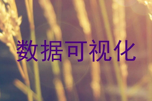 数据可视化