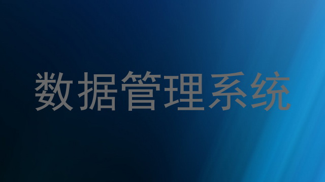 数据管理系统