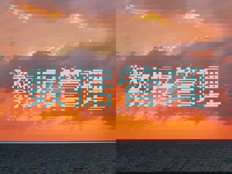 数据管理