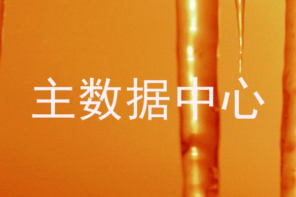 主数据中心