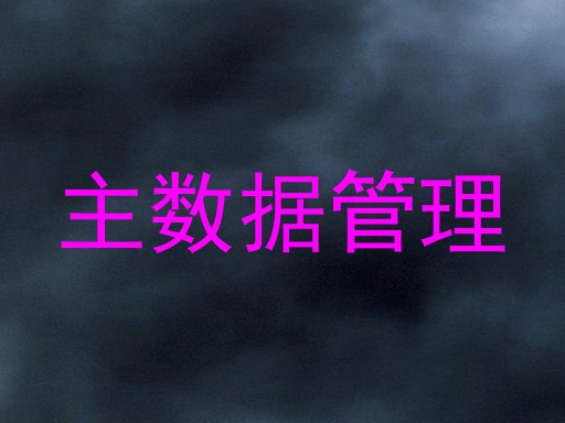 主数据管理