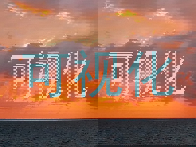可视化