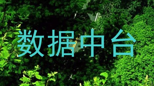 数据中台