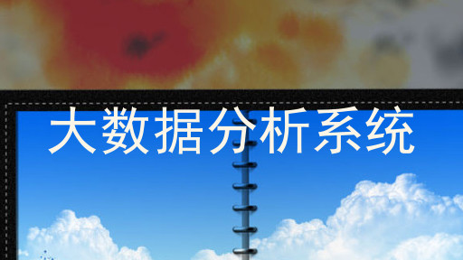 大数据分析系统
