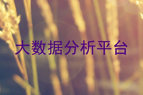 大数据分析平台