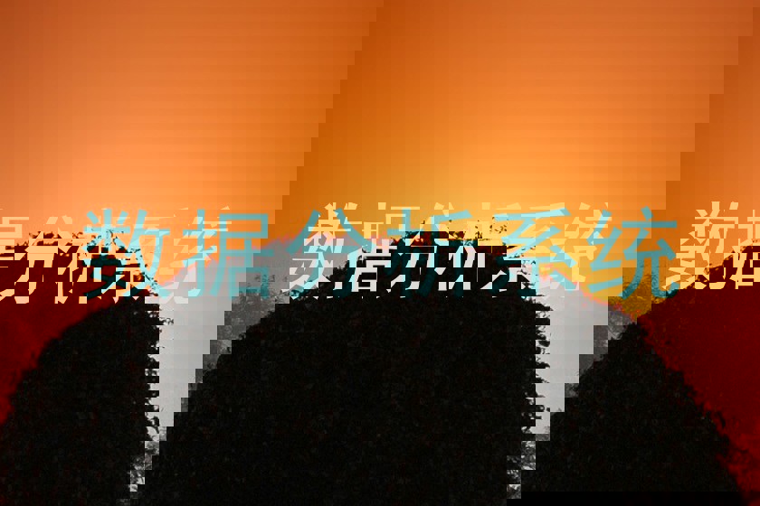 数据分析系统