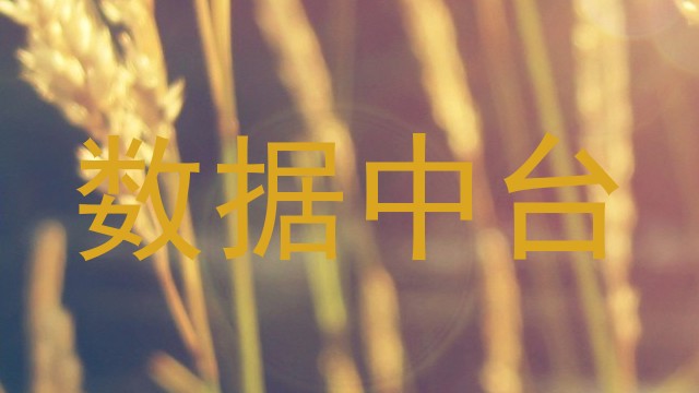 数据中台