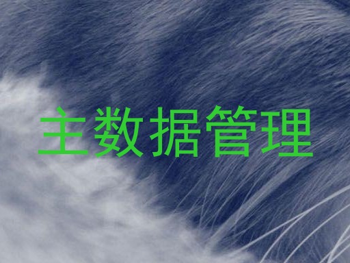 主数据管理