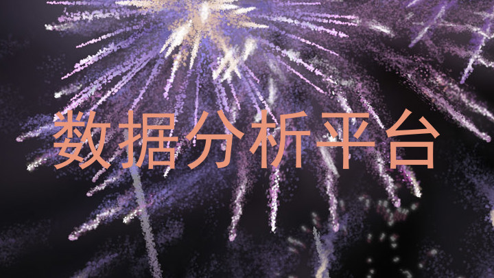 数据分析平台