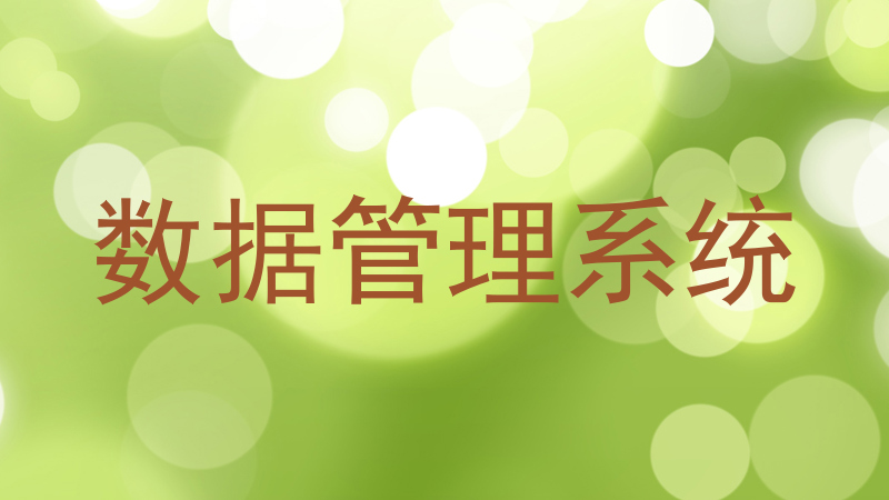 数据管理系统