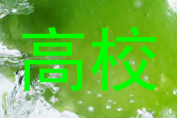 高校