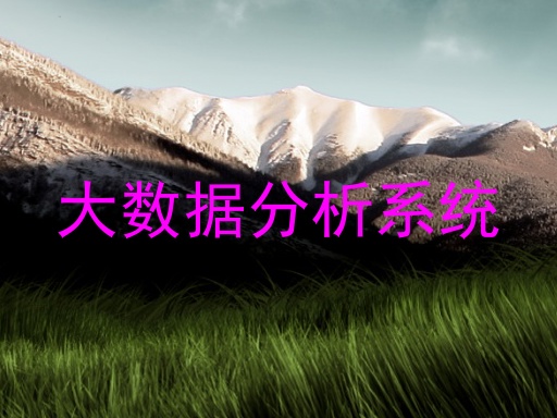 大数据分析系统