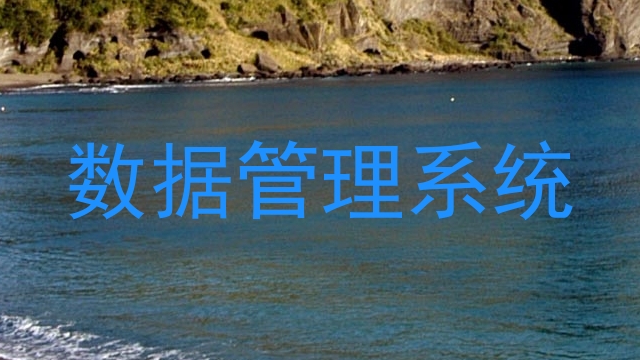 数据管理系统