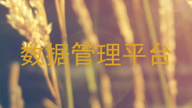 数据管理平台