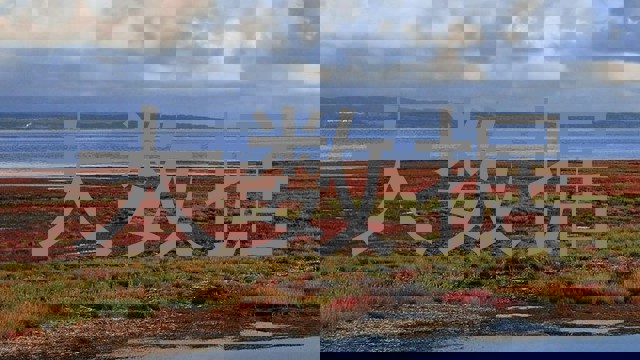 大数据
