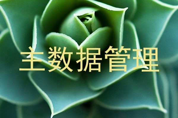主数据管理