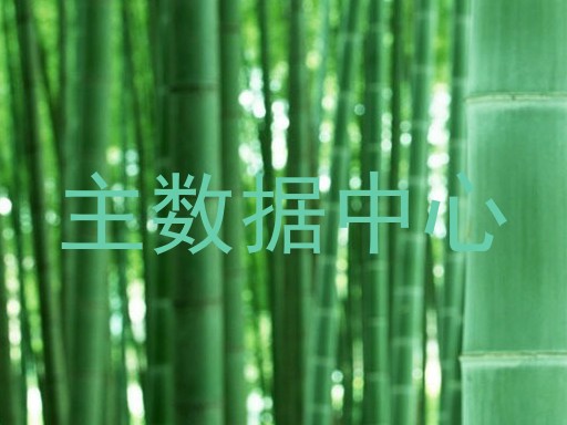 主数据中心