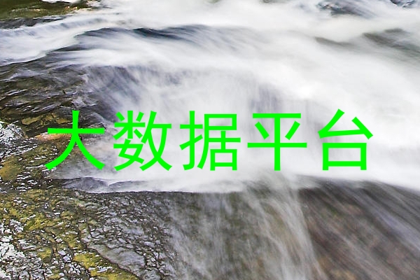 大数据平台