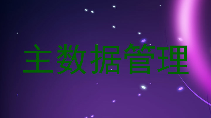 主数据管理