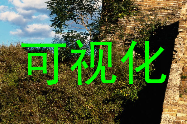 可视化
