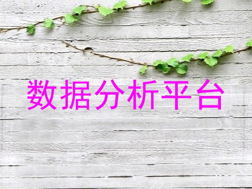 数据分析平台